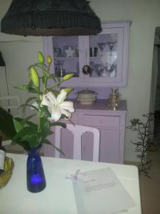 オストゥーニにあるTrullo Casa Loanの青花瓶