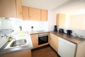 a small kitchen with a sink and a dishwasher at Work & Stay in Zuelpich in Zülpich