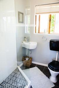 a bathroom with a toilet and a sink at Cobie Apartment in Stellenbosch