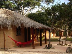 una cabaña con una hamaca delante en Pousada Aldeia Cayana, en Cavalcante