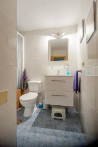 サンティアゴ・デ・コンポステーラにあるEntrepexigosのバスルーム(トイレ、洗面台、鏡付)