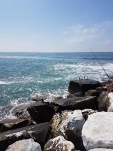 マリーナ・ディ・マッサにあるIl lagoの海岸の岩釣り