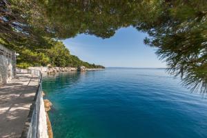 Príroda v okolí apartmánu + 37 fotografií
