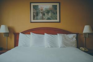 Gallery image of The Hotel Ottumwa in Ottumwa +30 photos