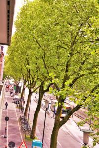 Die Umgebung um die Ferienwohnung