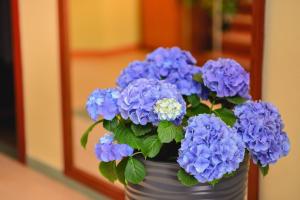 a vase filled with blue hydrangeas at Astra Hotel in Klaipėda