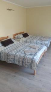 Cama ou camas em um quarto em Djurdja Apartment