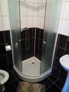 La salle de bains est pourvue d'une douche, de toilettes et d'un lavabo. dans l'établissement Casa Toma, à Sovata