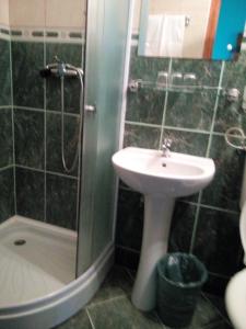 La salle de bains est pourvue d'un lavabo et d'une douche. dans l'établissement Casa Toma, à Sovata