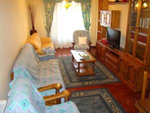 a living room with a couch and a tv at Apartamento Valle Inclán in Vilagarcia de Arousa