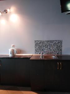 a kitchen with a sink and a counter at Villa Tabu in Poznań