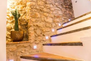eine Pflanze, die auf einer Steinmauer mit einer Bank sitzt in der Unterkunft Blancos Rooms Hotel in Peñíscola