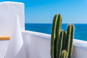 a cactus on a white wall next to the ocean at Blancos Rooms Hotel in Peniscola
