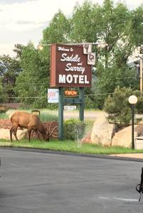 a horse grazing in the grass next to a motel sign at Saddle & Surrey Motel in Estes Park