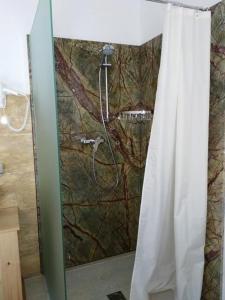 um chuveiro na casa de banho com uma cortina de chuveiro em Gartler's Appartements em Kalsdorf bei Graz