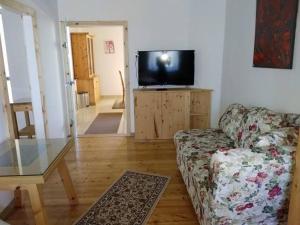 TV a/nebo společenská místnost v ubytování Gartler's Appartements