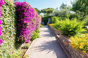 a walkway in a garden with pink flowers at Hotel Villa Ceselle in Anacapri