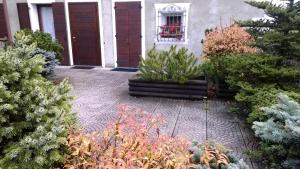 um jardim com plantas em frente a uma casa em BORMIO Centro storico em Bormio
