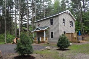a house with two trees in front of it at Cascade Mountain Chalet in Wilmington