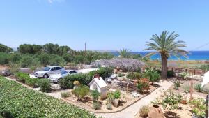 Gallery image of Villa Katerina Holiday Apartments in Sitia +101 photos