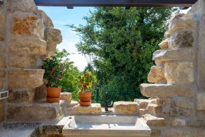 Zahrada ubytování Villa Parenzana