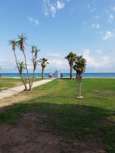 een park met palmbomen naast een strand bij Apartamento Costa Marina III Magic World in Oropesa del Mar