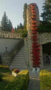 Vonkajšia záhrada v ubytovaní Steinhaus Bed & Breakfast