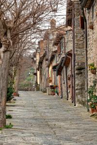 een lege straat in een dorp met gebouwen bij Il Nido Di Asia in Cortona