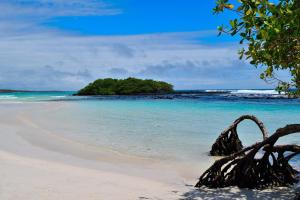 une plage de sable avec une petite île dans l'océan dans l'établissement Hospedaje Carliza II Backpackers, à Puerto Ayora