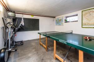 Stolní tenis v ubytování Penzion Benecko 171 nebo okolí
