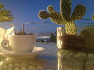 ナポリにあるNAPOLI OVER POSILLIPOのサボテン付きのテーブルに座ってコーヒーを飲む