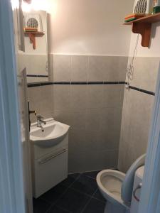 uma casa de banho com um lavatório e um WC em Hotel Rose Valley em Budapeste