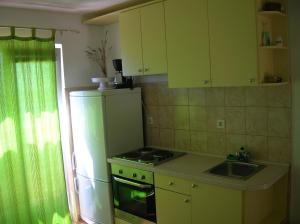 Kuchyň nebo kuchyňský kout v ubytování Apartment Jelena