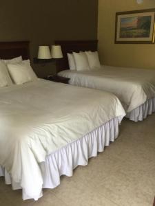 two beds sitting next to each other in a hotel room at Murphy Motel in Murphy