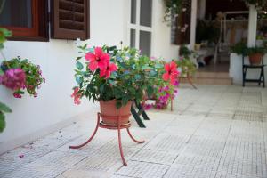 Zahrada ubytování Apartments Lovor