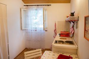 Kuchyň nebo kuchyňský kout v ubytování Apartments Lovor