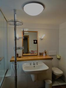 bagno con lavandino, specchio e servizi igienici di Franz Rudolf a Bad Aussee