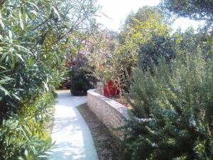 Zahrada ubytování Apartments Lovor