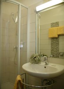 Koupelna v ubytování Landhaus Tauber + 10 fotografií