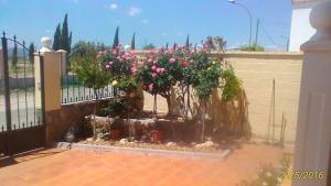 a garden with pink flowers in front of a fence at La Rosaleda de Orgaz in Orgaz