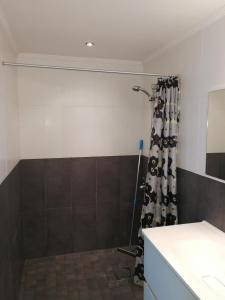 a bathroom with a shower with a black and white shower curtain at Esplanad Apartment in Mariehamn