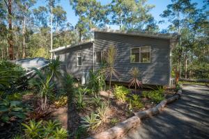 Une petite maison au milieu d'une forêt dans l'établissement Oakey Creek Private Retreat, à Gheerulla