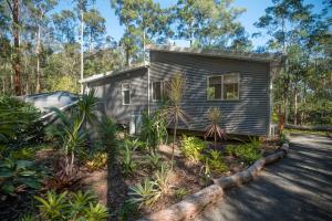 a tiny house in the middle of a forest at Oakey Creek Private Retreat in Gheerulla