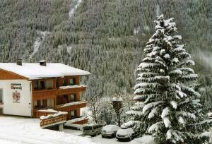 プレーグラーテンにあるGastehaus Alpenruhの建物前の雪に覆われたクリスマスツリー