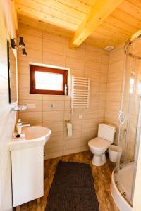 ein Bad mit einem WC, einem Waschbecken und einer Dusche in der Unterkunft Domki u Bronki in Grywałd