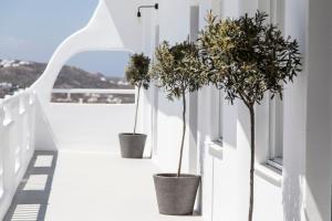 Uma varanda ou terraço em My Mykonos Hotel
