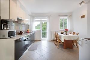 Kuchyňa alebo kuchynka v ubytovaní Apartments Pina