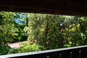 Ein Garten an der Unterkunft Alpen Deluxe Oberammergau