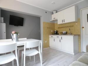 Kuchyň nebo kuchyňský kout v ubytování Domki i Apartamenty El-Piero