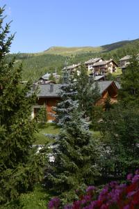 a group of pine trees in front of a village at Chalet Garden in Livigno